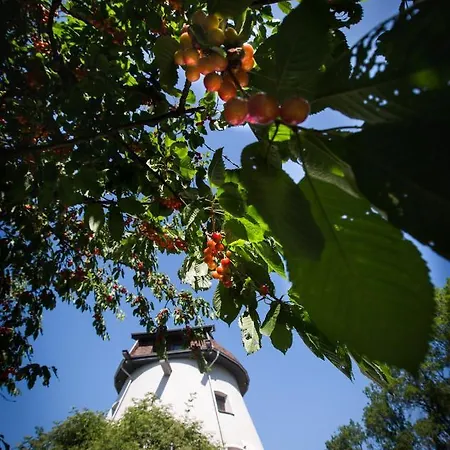 Semesterbostad Wiatrak - Premium *